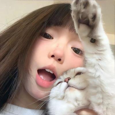 猫儿历险记国语